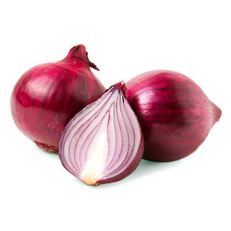 fresh onion